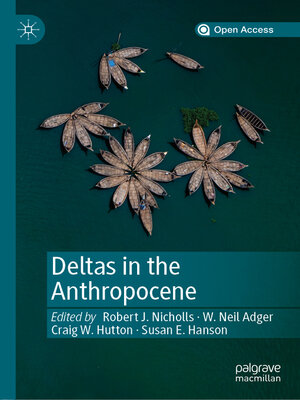 Deltas in the Anthropocene - ebook